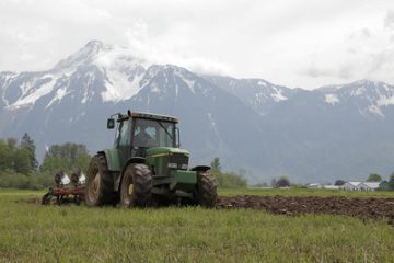 The welfare of cull dairy cows from farm to slaughter