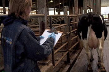 Improvements in lameness detection